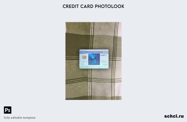цифровая загрузка США Калифорния Банк BlueVine Карта Blue Cash Everyday® от AMEX